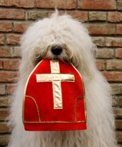 Terug, terug, terug deel berouw hebben makkelijk te gebruiken Sinterklaas is in het land! | Verenigde Hondenvrienden Werchter vzw